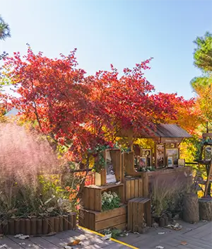 화담숲 테마별 사진