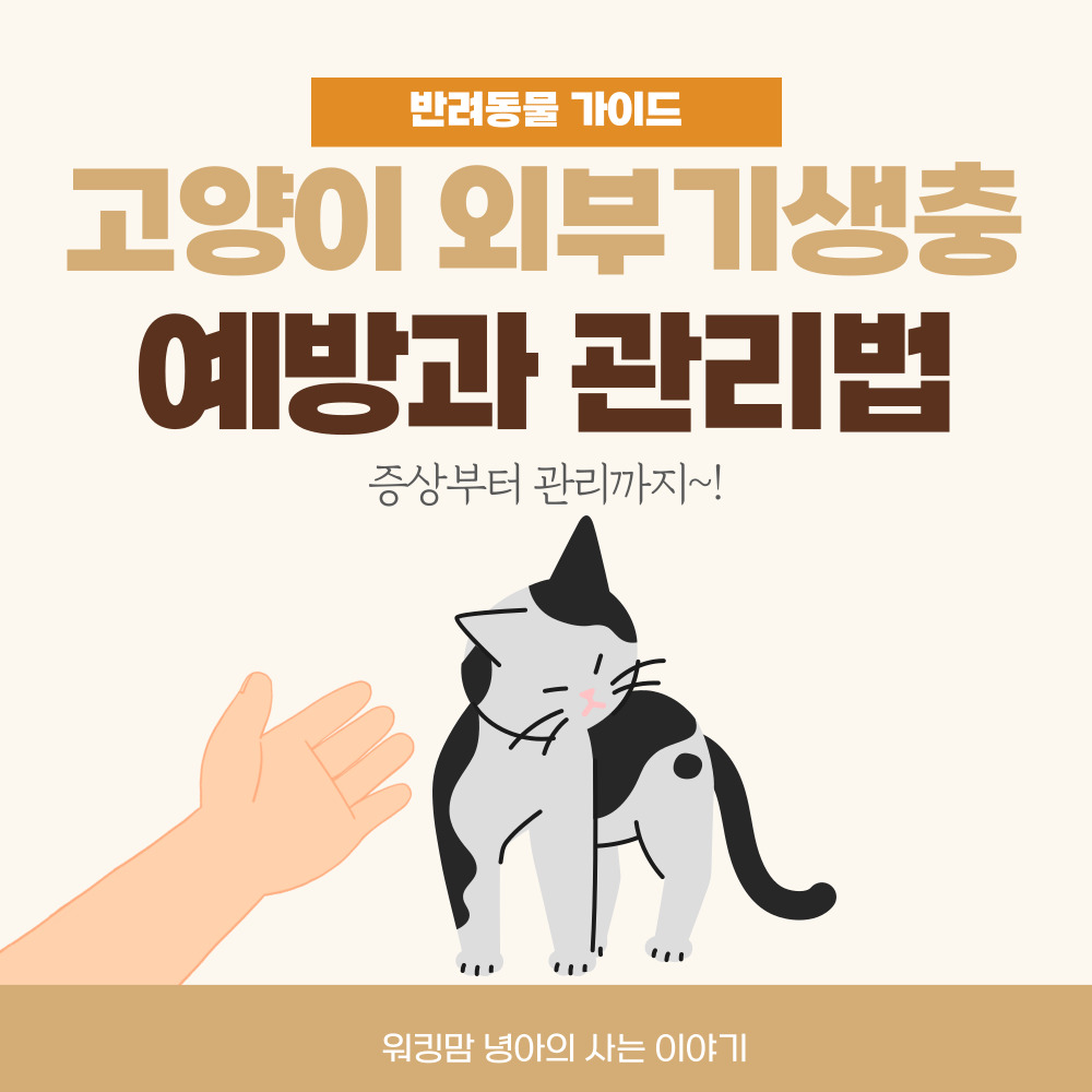 고양이-외부-기생충-예방-관리법-포스팅대문이미지
