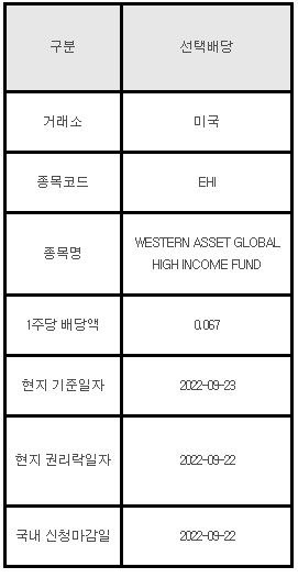 미국주식 선택배당 안내 EHI