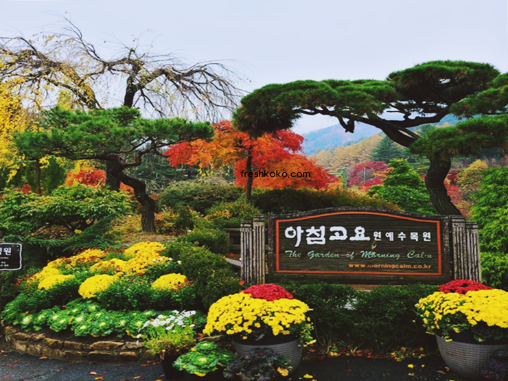 가평 가볼만한곳 베스트10