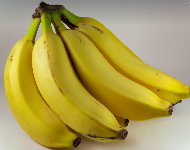 바나나의 모습