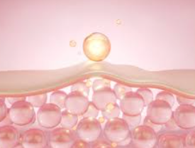 콜라겐이 진짜 문제였다? 진피층 노화 막는 콜라겐 관리의 핵심 원리