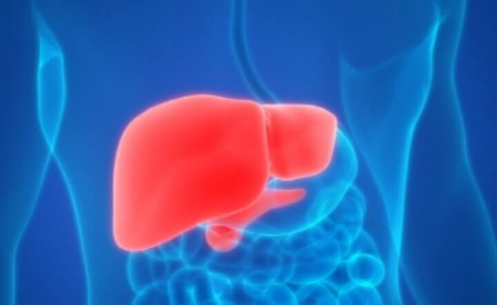 간에 좋은 음식 부추