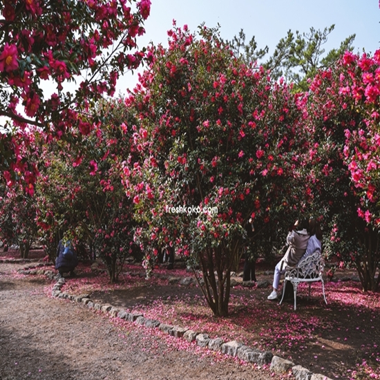 겨울 여행지 베스트 10