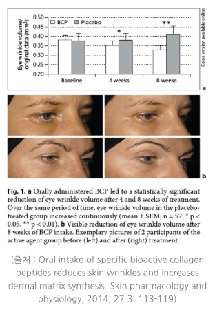 관련 논문에 따르면 45-65세 여성에게 8주간 콜라겐 펩타이드를 섭취시킨 력과 눈 주금 부피는 20.1%감소하였으며 특히 눈가 주름 부피는 최대 49.9% 나 감소했습니다