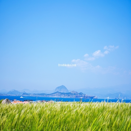 4월 제주도 가볼만한곳 10곳