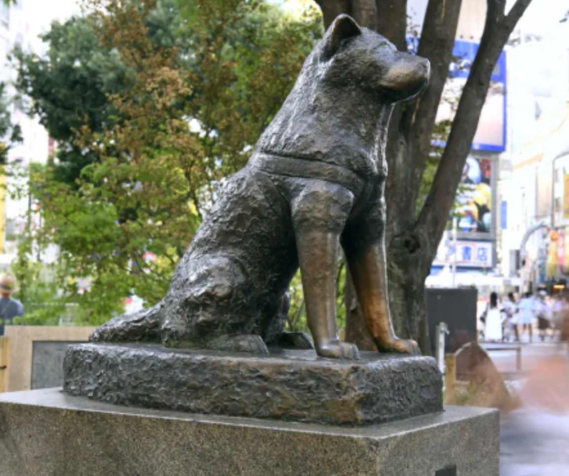 시부야 하치코 동상