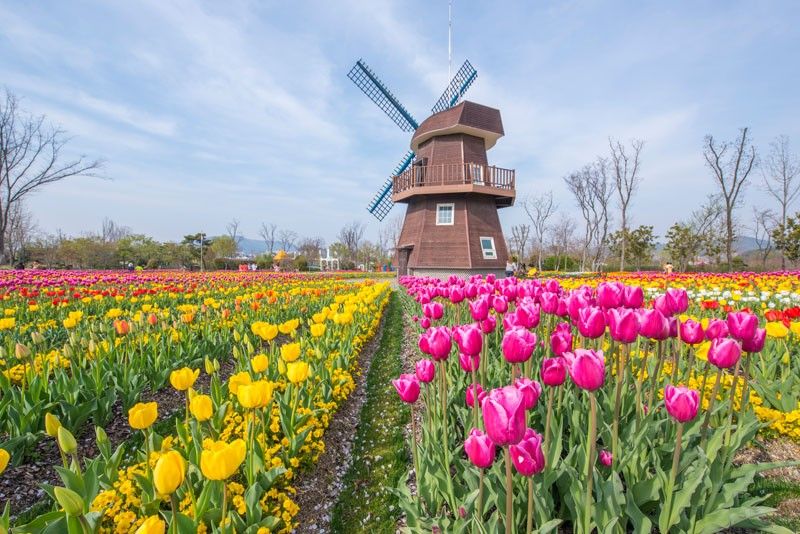 순천만 국가정원 입장료