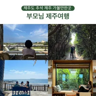 제주 부모님과 여행코스 추천 효도 여행지 완전정리_2