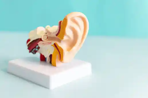 이명 원인 및 증상, 치료법