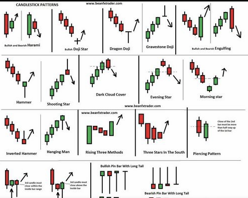 비트코인 도미넌스 차트 유형 이미지