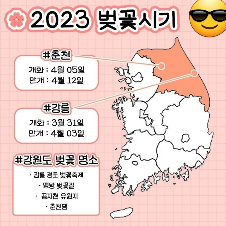 2023년 벚꽃 개화시기