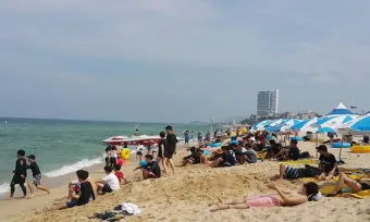 강원도 경포대 해수욕장과 강릉 가볼만한곳 best5 여행 자료집_8