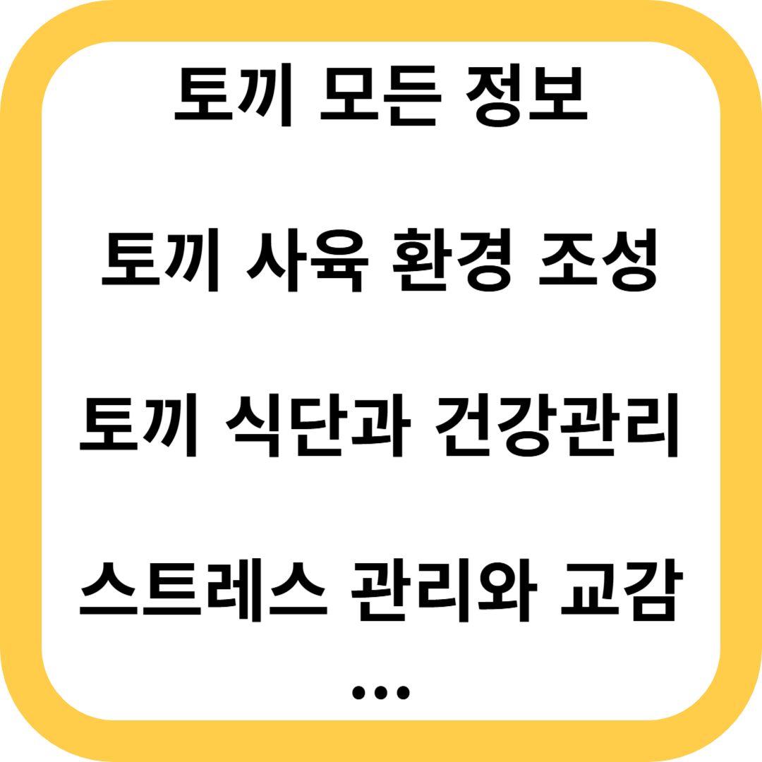 토끼