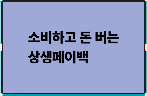 소비하고 돈버는 상생페이백