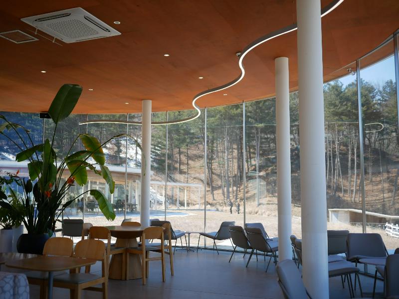 가평양떼목장카페 내부&amp;#44; 건물 전체가 통창으로 이루어져있다.
