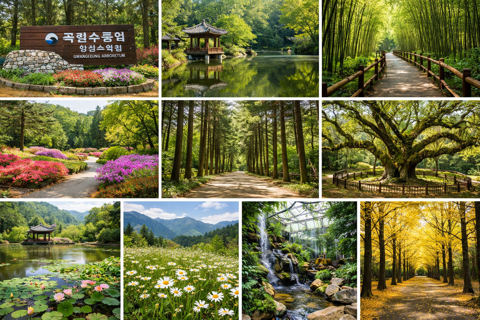 포천 광릉수목원 가볼만한 이유 광릉, 수목원, 트렌드