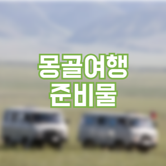 몽골여행 준비물 체크리스트!
