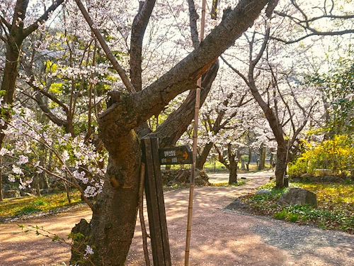 내 남편과 결혼해줘 촬영장소 영취산 흥국사