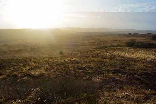 지적도-무료-열람하는-방법