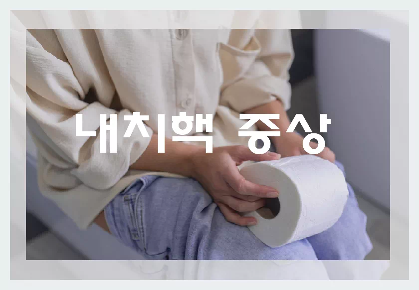 내치핵증상