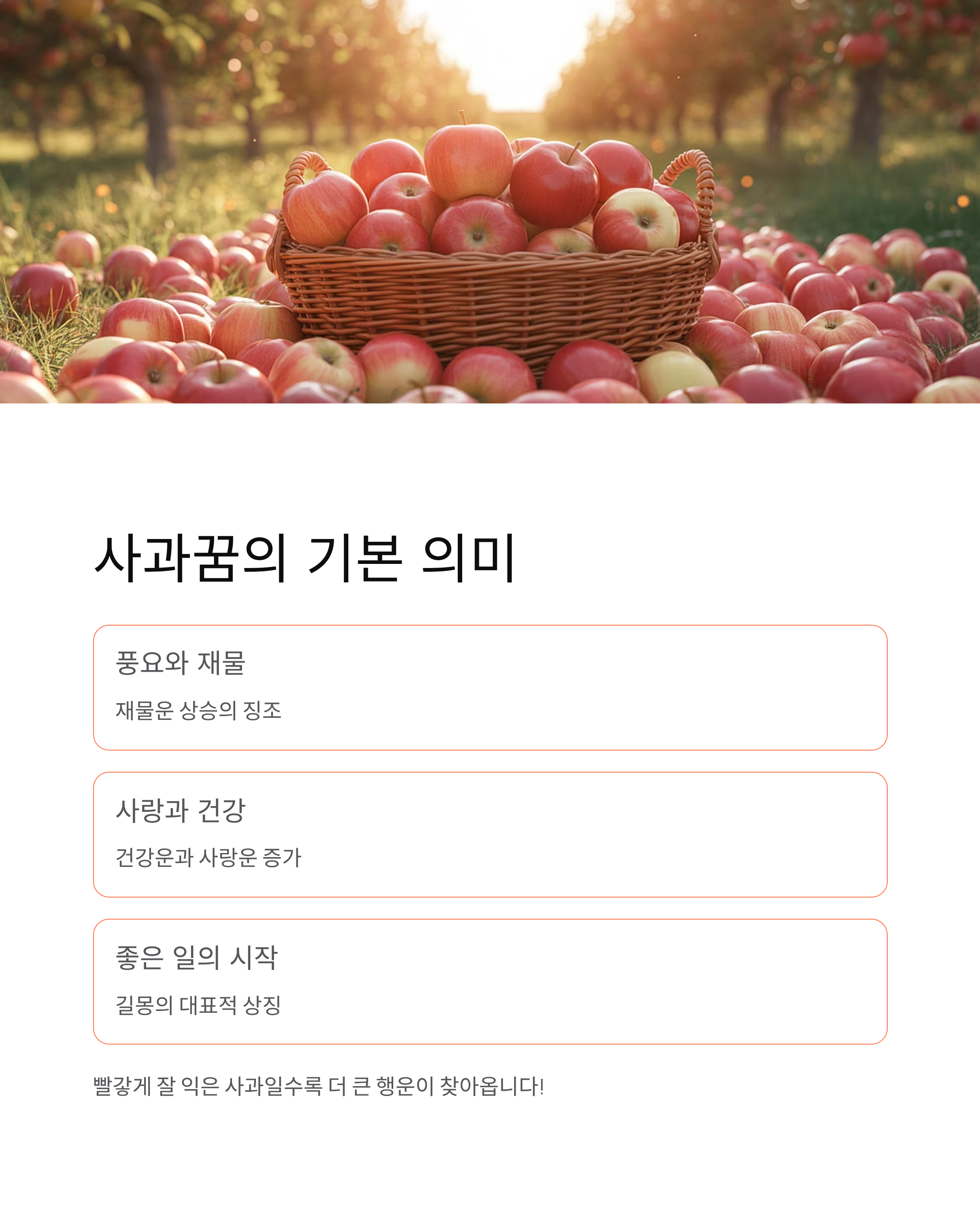 사과꿈 해몽 ❘ 빨간사과·사과먹는꿈·사과따는꿈 의미 (대박 길몽?)