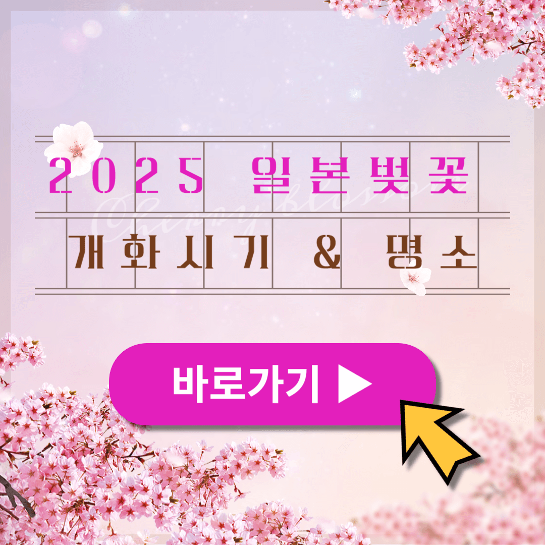 일본 벚꽃 개화시기 2025 (ft. 한국 벚꽃 개화시기)