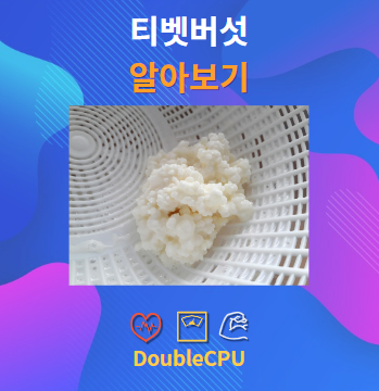 티벳버섯 알아보기