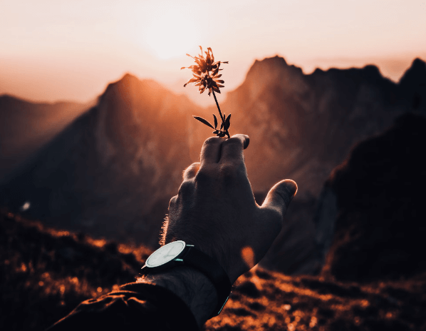 사이코패스 특징