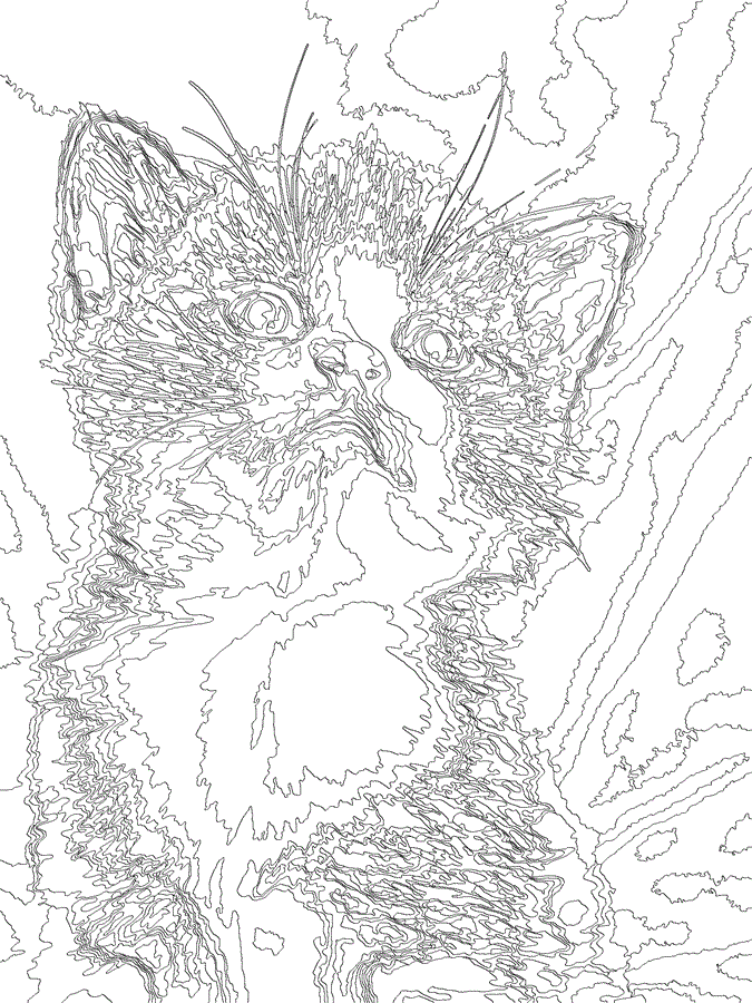 PC-Colored GIF: Cutest cat