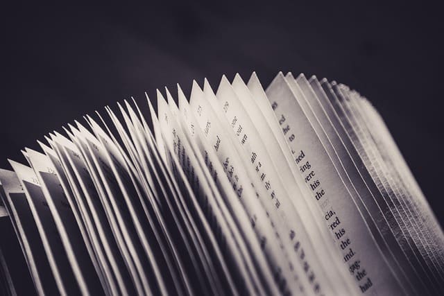 독자 댓글 하나에 결말까지 바뀐다? 웹소설 작가들의 충격적인 집필 비하인드