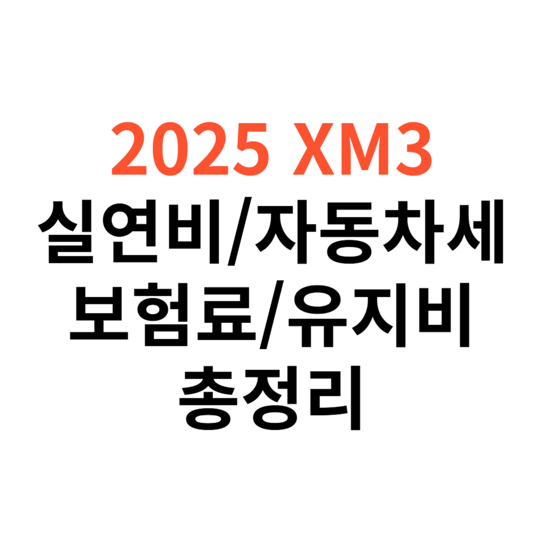 르노 XM3 차량