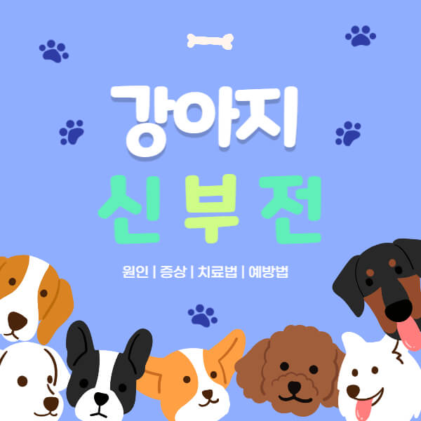 강아지_신부전_썸네일