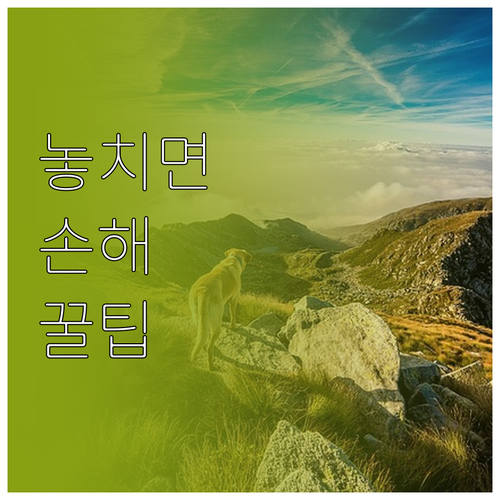 놓치면 후회할 경기도 청년기본소득 자..