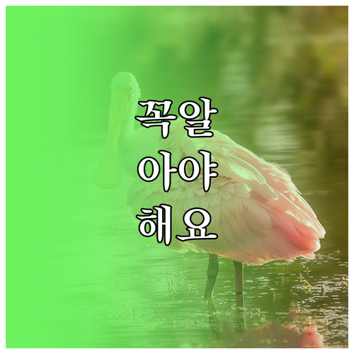 베이킹파우더로 깨끗한 집: 과학적 원..