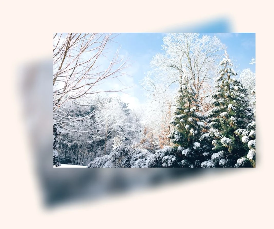 겨울철 면역력 강화_1_subsection