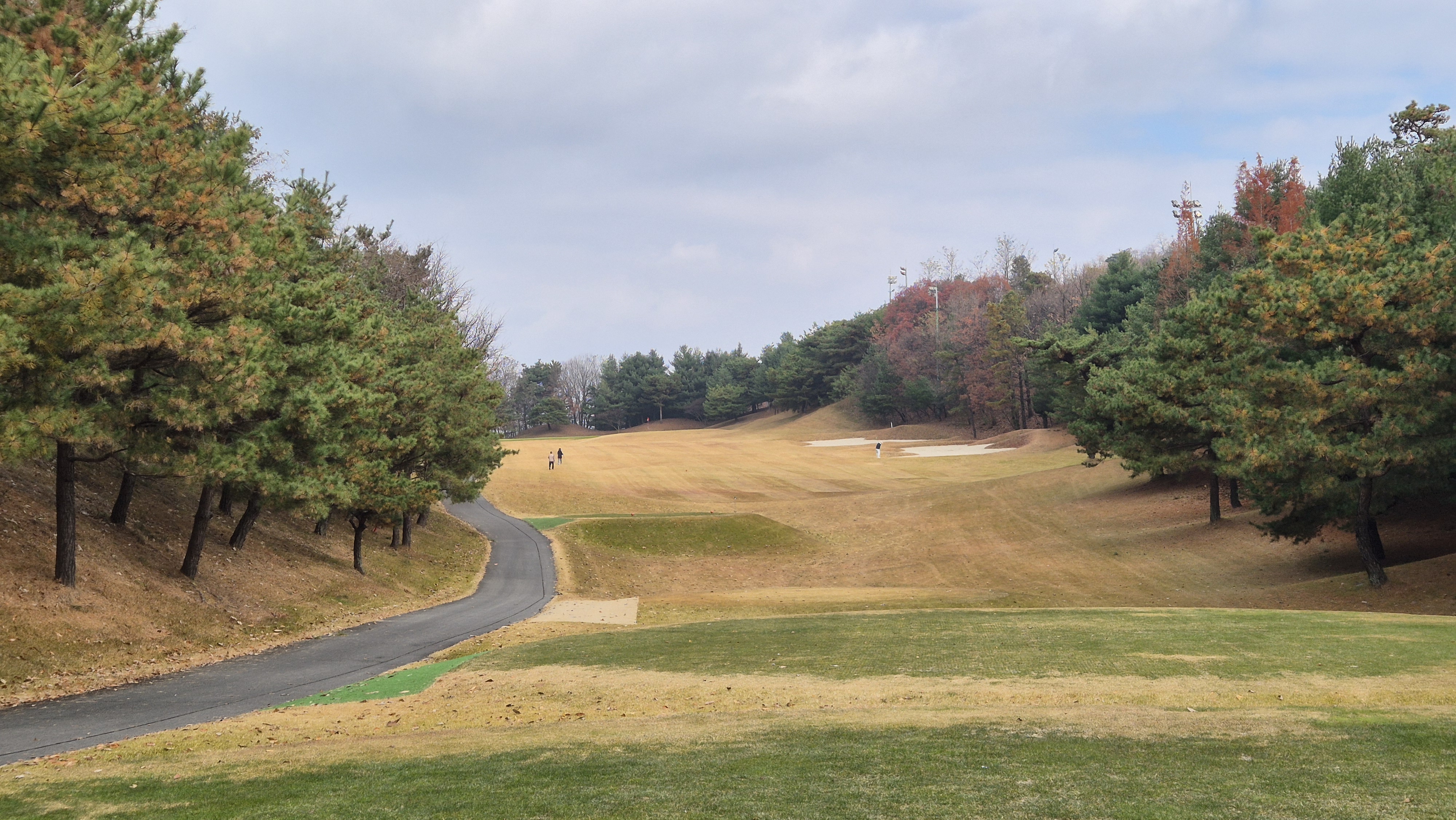 올데이 떼제베cc 누리코스 사진 및 공략 정보