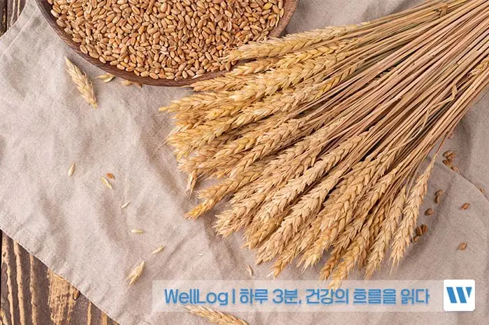 카무트 효소 효능