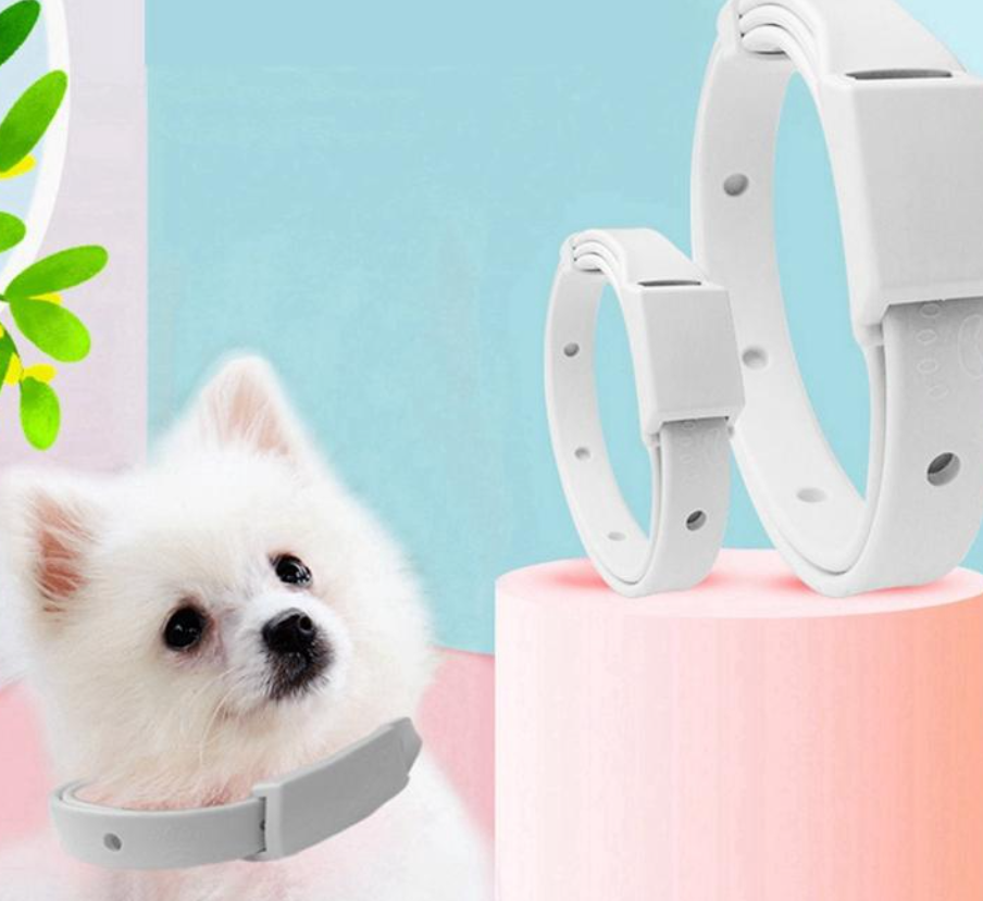 강아지 진드기 기피제 목걸이 추천