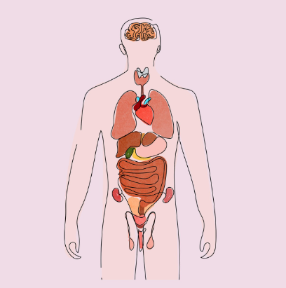 장 건강에 좋은 습관, 속이 편해야 삶이 편하다.
