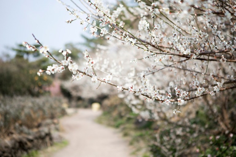 제주도 가볼 만한 곳 10곳