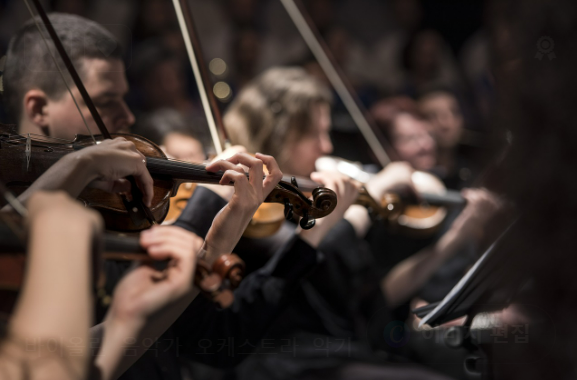 오케스트라 바이올린 단체 연주 사진
