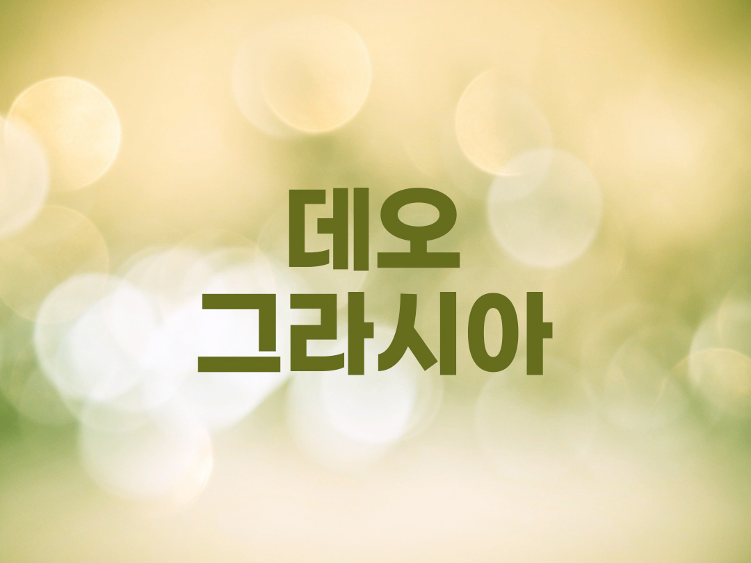 데오그라시아 천주교 남자세례명
