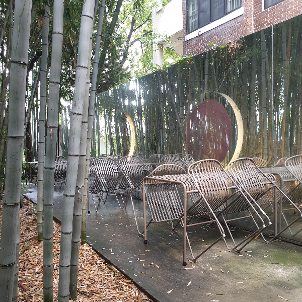 대전 소제동 카페 거리: 대나무가 인상적이었던 카페 '풍류소제'_풍류소제 후문쪽 야외 좌석