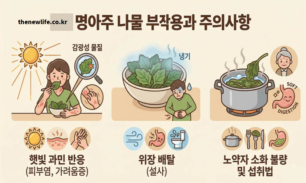 명아주 나물 효능 부작용