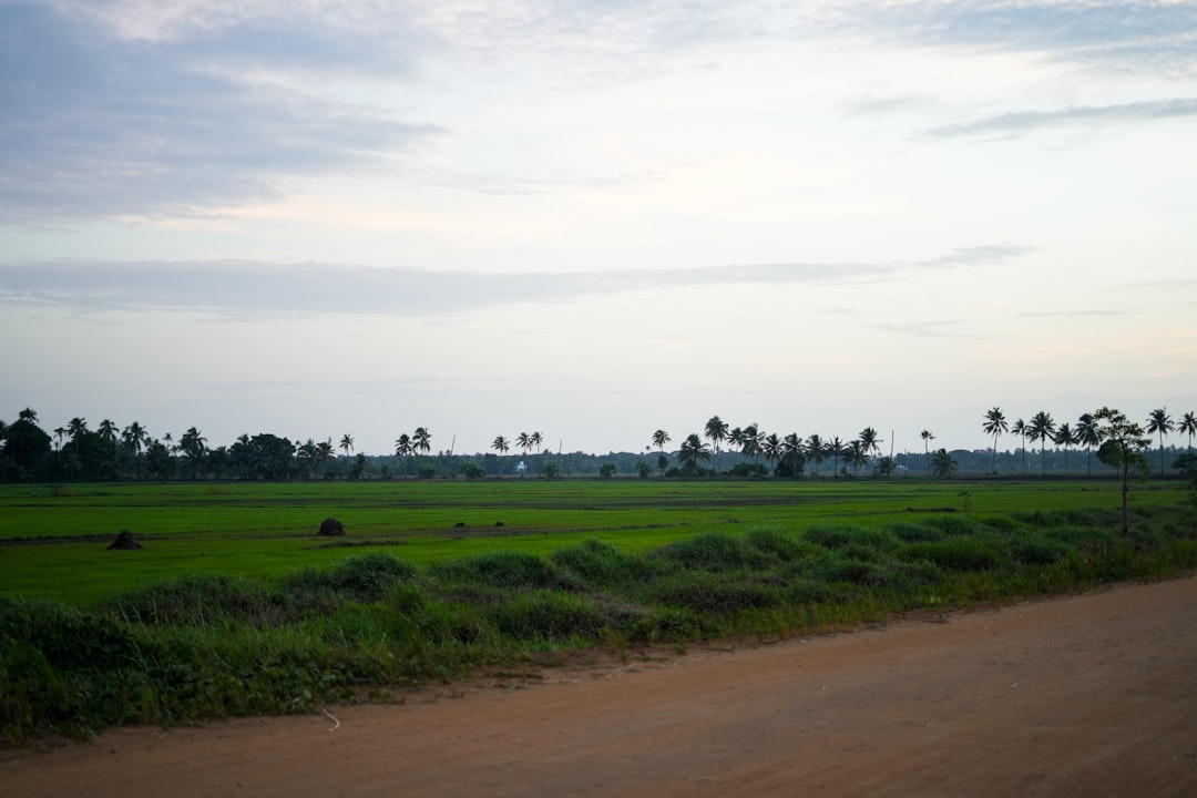 Land Use