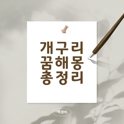 개구리-꿈해몽-의미-총정리