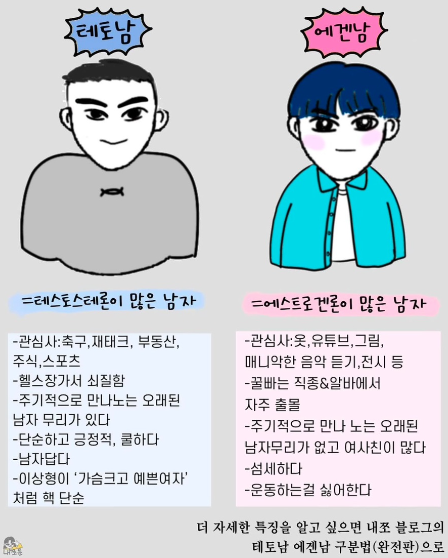 에겐남 테토남 뜻 특징 구분법 차이점