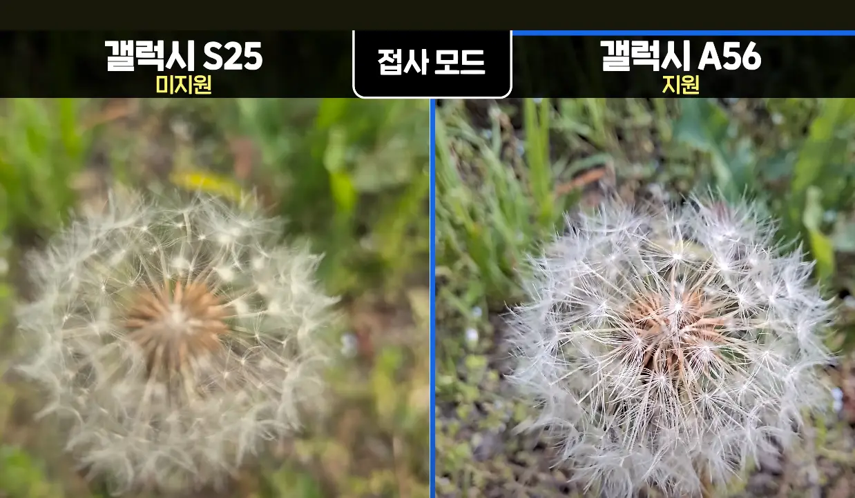 사진15