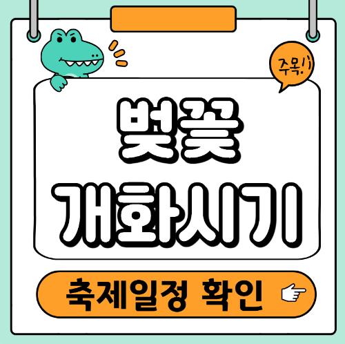 벚꽃 축제